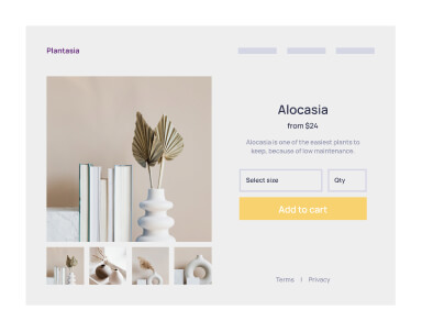 E-commerce browser mockup
